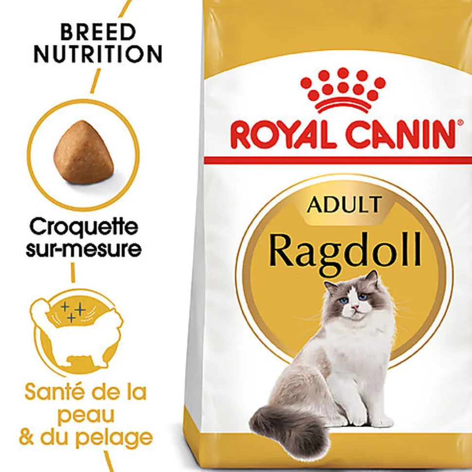 Royal Canin - Croquettes Ragdoll Adult Pour Chat