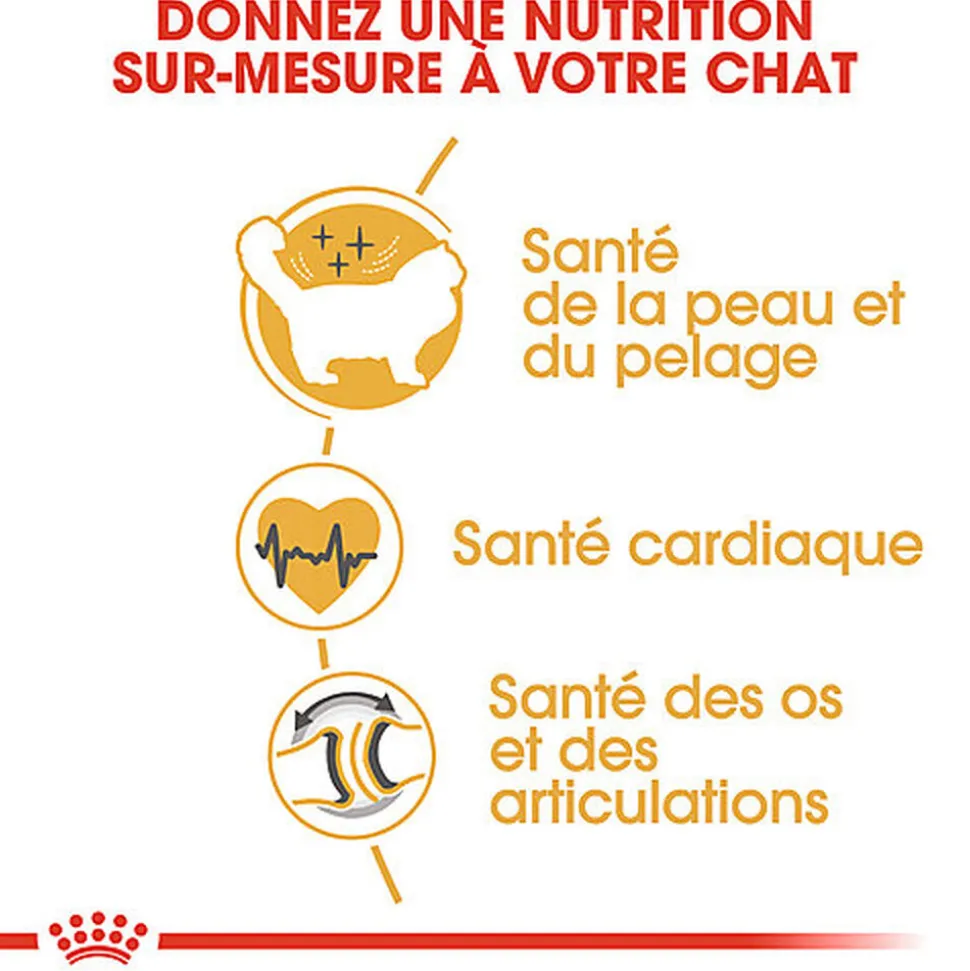 Royal Canin - Croquettes Ragdoll Adult Pour Chat