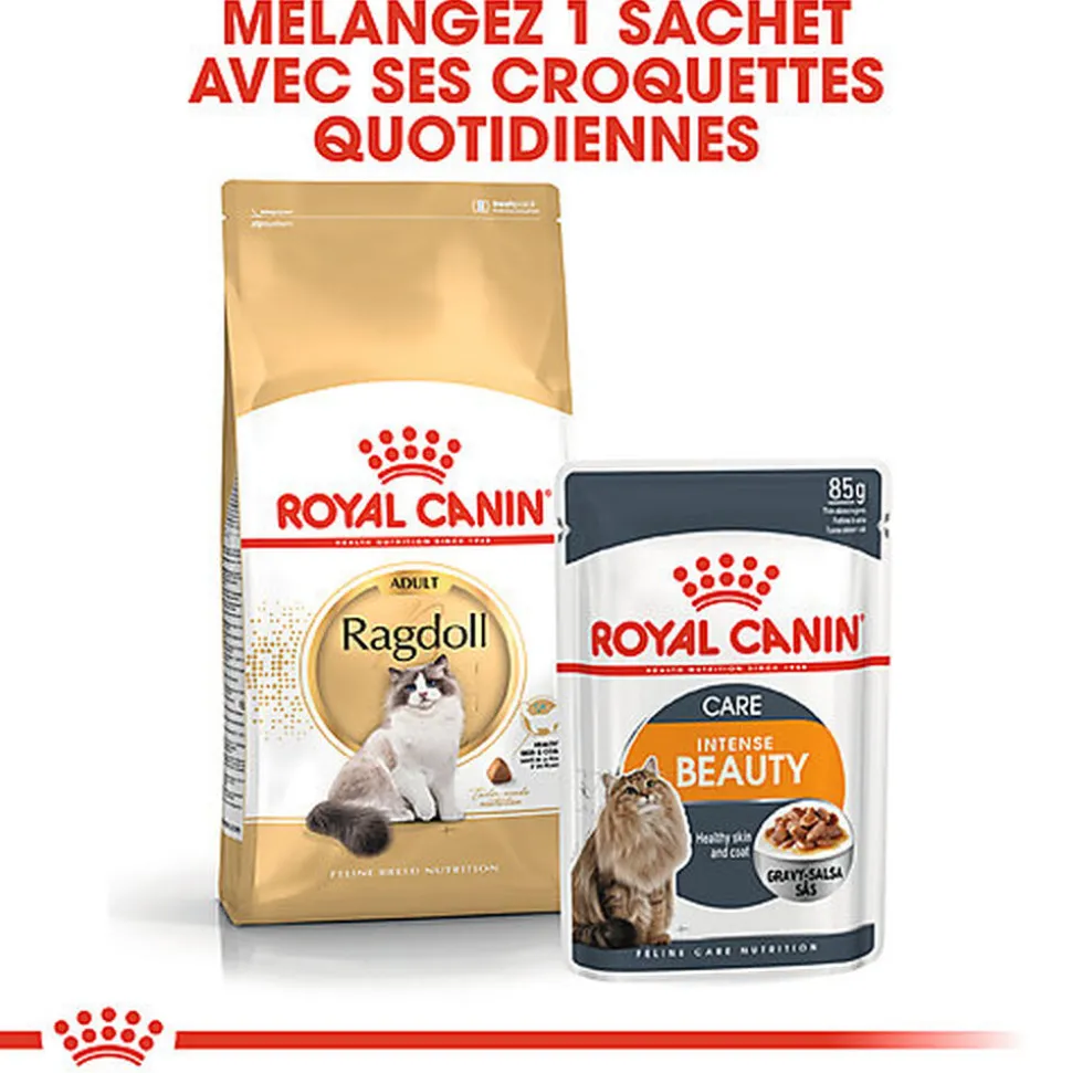Royal Canin - Croquettes Ragdoll Adult Pour Chat