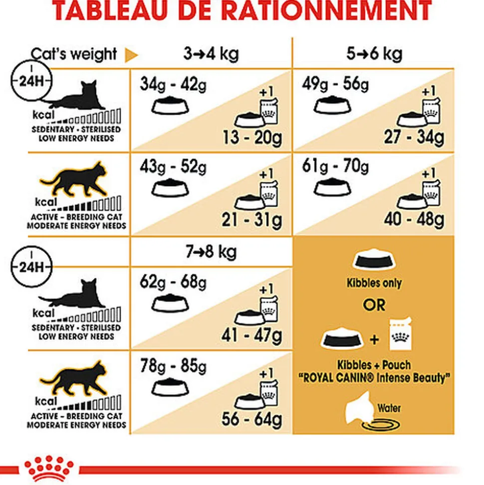 Royal Canin - Croquettes Ragdoll Adult Pour Chat