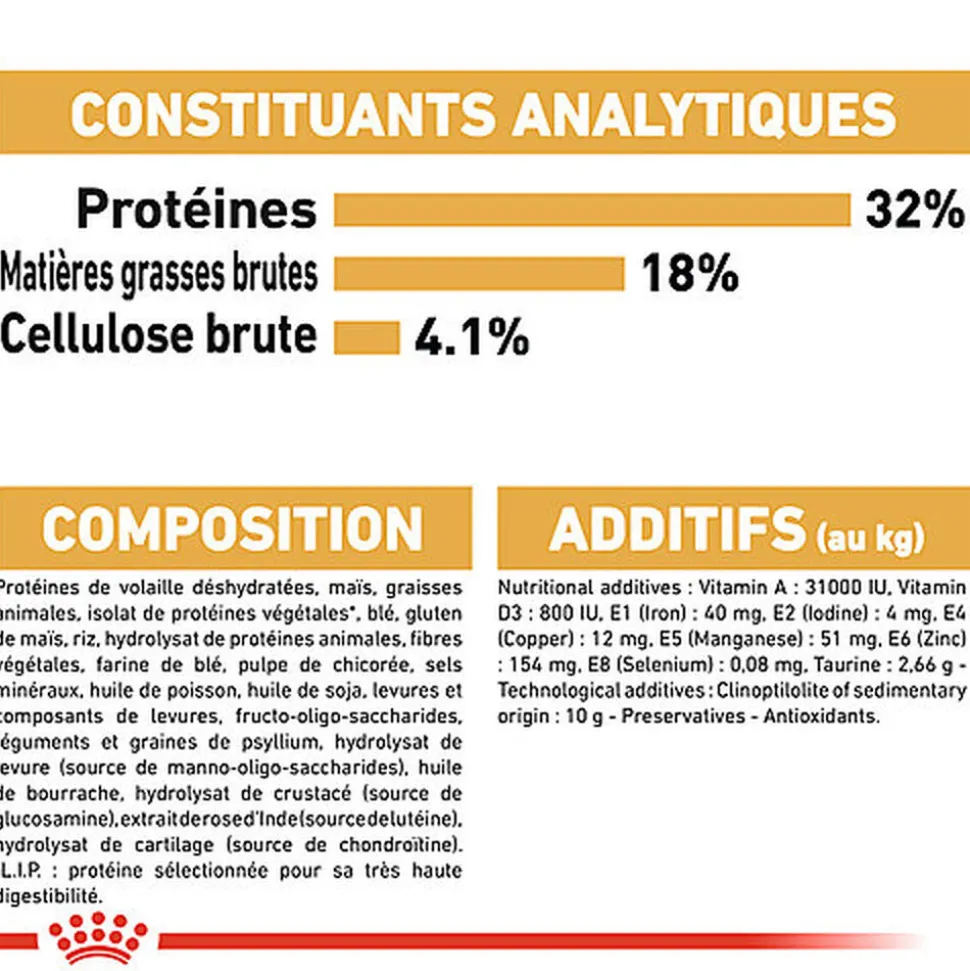 Royal Canin - Croquettes Ragdoll Adult Pour Chat