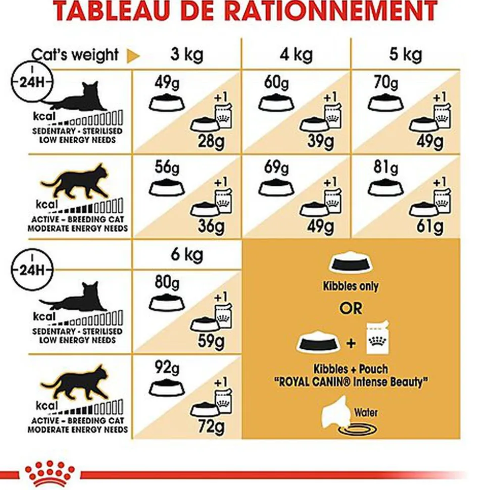 Royal Canin - Croquettes SPHYNX ADULT pour chats - 10KG