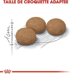 Royal Canin - Croquettes Senior Sterilised 12+ pour Chat Senior
