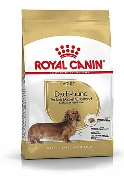 Royal Canin - Croquettes Teckel Adult pour Chien