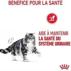 Royal Canin - Croquettes Urinary Care pour Chat