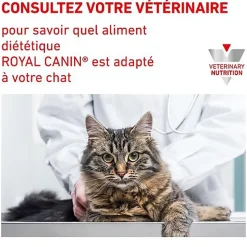 Royal Canin - Croquettes Veterinary Diet Urinary S/O Moderate Calorie pour Chat