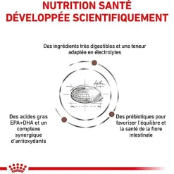 Royal Canin - Croquettes Veterinary Diet Gastro Intestinal pour Chien