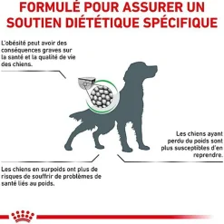 Royal Canin - Croquettes Veterinary Diet Satiety Support Weight Management pour Chien - 1,5Kg