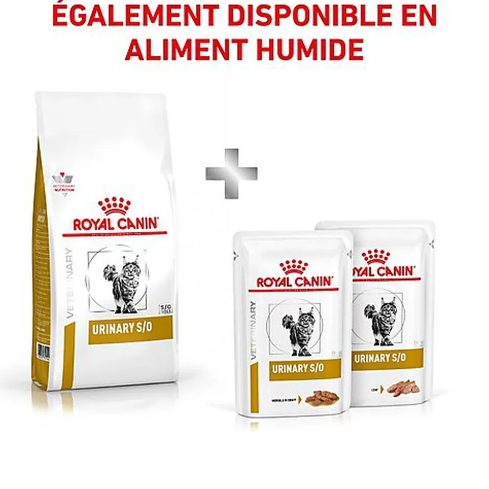 Royal Canin - Croquettes Veterinary Diet Urinary S/O pour Chat