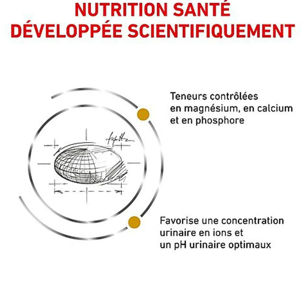 Royal Canin - Croquettes Veterinary Diet Urinary S/O pour Chat