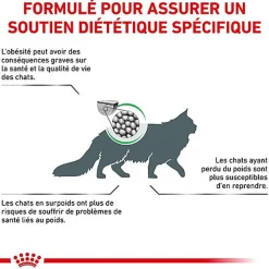 Royal Canin - Croquettes Veterinary Diet Satiety Support pour Chat