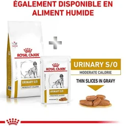 Royal Canin - Croquettes Veterinary Diet Urinary S/O Moderate Calorie pour Chien