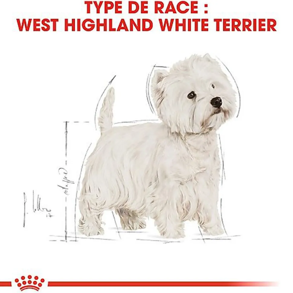 Royal Canin - Croquettes Westie Adult pour Chien