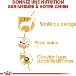 Royal Canin - Croquettes Westie Adult pour Chien