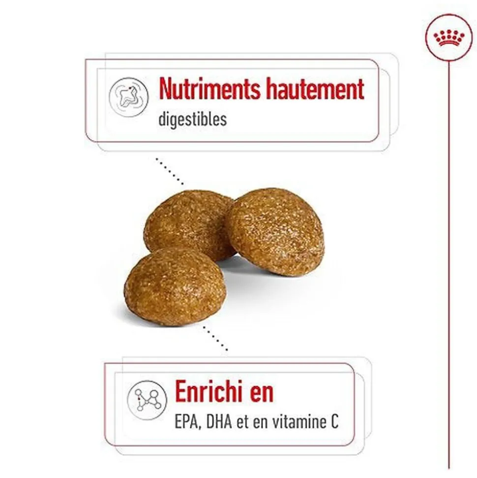 Royal Canin - Croquettes X-Small Adult pour Chien de Très Petite Taille