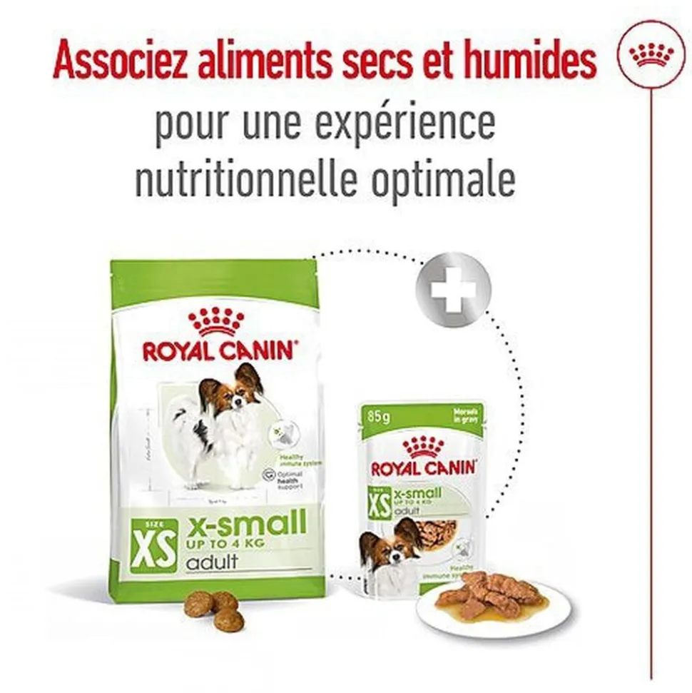 Royal Canin - Croquettes X-Small Adult pour Chien de Très Petite Taille