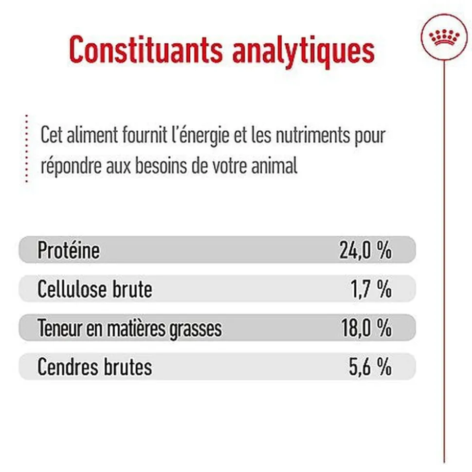 Royal Canin - Croquettes X-Small Adult pour Chien de Très Petite Taille