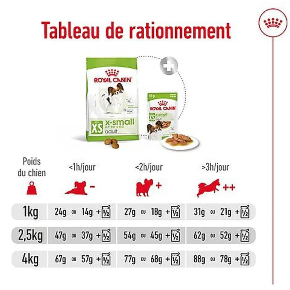 Royal Canin - Croquettes X-Small Adult pour Chien de Très Petite Taille