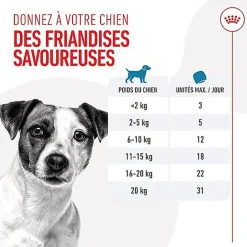 Royal Canin - Friandises Training Treats pour Chien - 110g