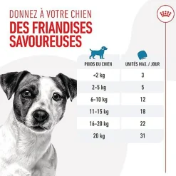 Royal Canin - Friandises Training Treats pour Chien - 110g