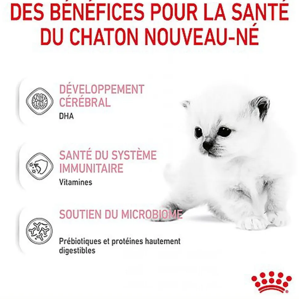 Royal Canin - Lait Baby Cat Milk pour Chaton - 300g
