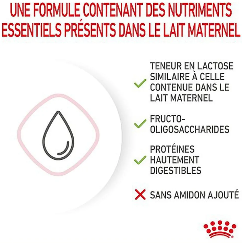 Royal Canin - Lait Baby Cat Milk pour Chaton - 300g