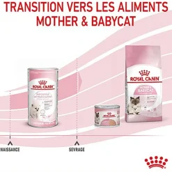 Royal Canin - Lait Baby Cat Milk pour Chaton - 300g