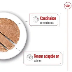 Royal Canin - Pâtée en Mousse Mini Ageing S - 195g