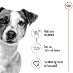 Royal Canin - Pâtée en Mousse Mini Adult S - 195g