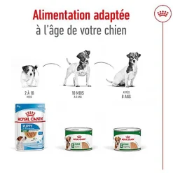 Royal Canin - Pâtée en Mousse Mini Adult S - 195g