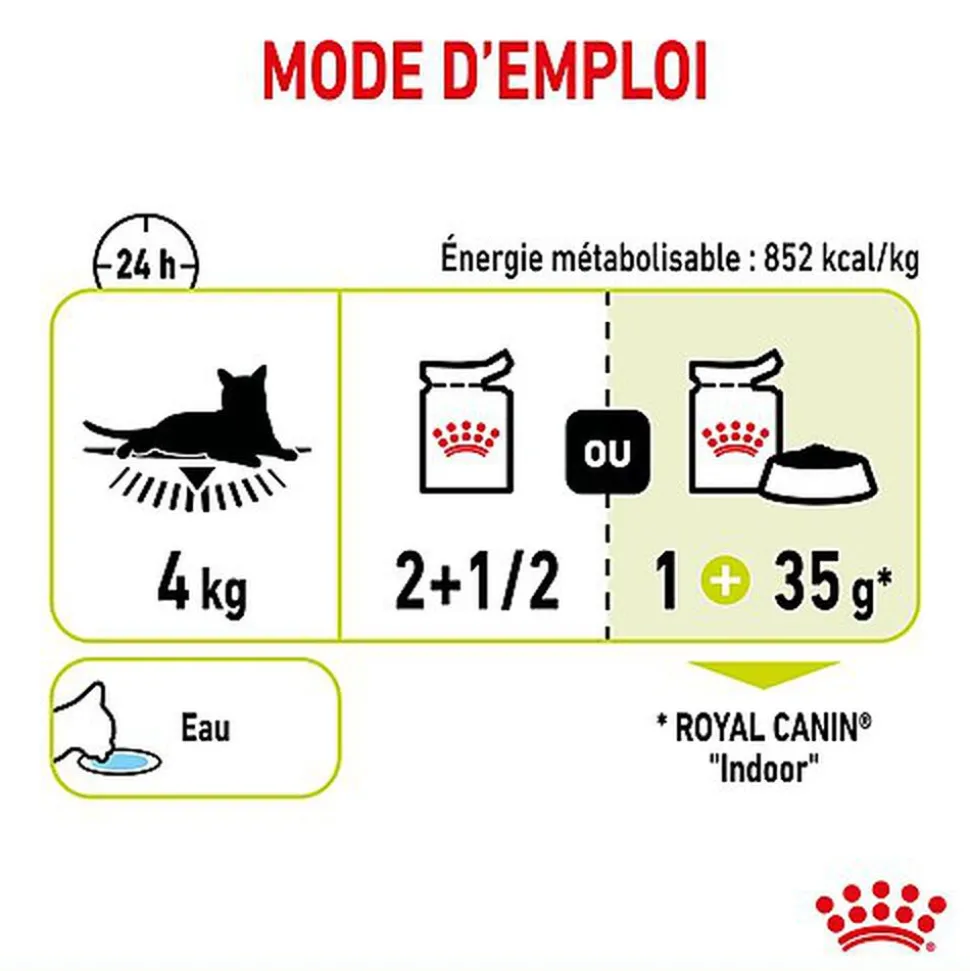 Royal Canin - Pâtée Sensory Smell en Sauce pour Chat - 12x85g