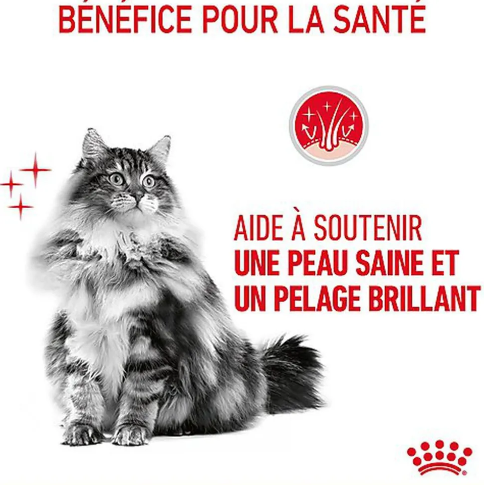 ROYAL CANIN - PÂTEE HAIR & SKIN EN MOUSSE CHAT ADULTE PEAU ET PELAGE - 12x85g