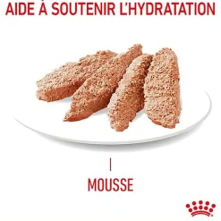 ROYAL CANIN - PÂTEE HAIR & SKIN EN MOUSSE CHAT ADULTE PEAU ET PELAGE - 12x85g