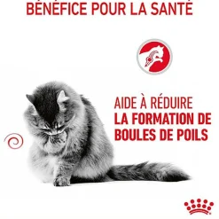ROYAL CANIN - SACHET FRAICHEUR HAIRBALL EN GELEE CHAT ADULTE REDUCTION DES BOULES DE POILS - 12x85g