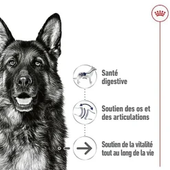 ROYAL CANIN - SACHET FRAICHEUR MAXI AGEING en sauce POUR CHIENS SENIORS - 10x140