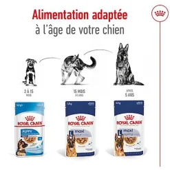 ROYAL CANIN - SACHET FRAICHEUR MAXI AGEING en sauce POUR CHIENS SENIORS - 10x140