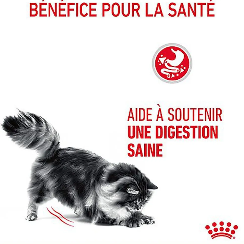 ROYAL CANIN - SACHET FRAICHEUR DIGESTIVE CARE EN MOUSSE CHAT ADULTE - 12x85g
