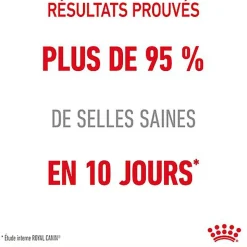 ROYAL CANIN - SACHET FRAICHEUR DIGESTIVE CARE EN MOUSSE CHAT ADULTE - 12x85g