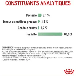 ROYAL CANIN - SACHET FRAICHEUR DIGESTIVE CARE EN MOUSSE CHAT ADULTE - 12x85g