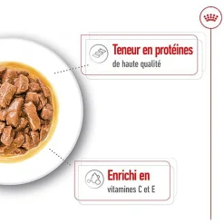 Royal Canin - Sachet Fraicheur Medium Adult En Sauce Pour Chiens - 10x140g