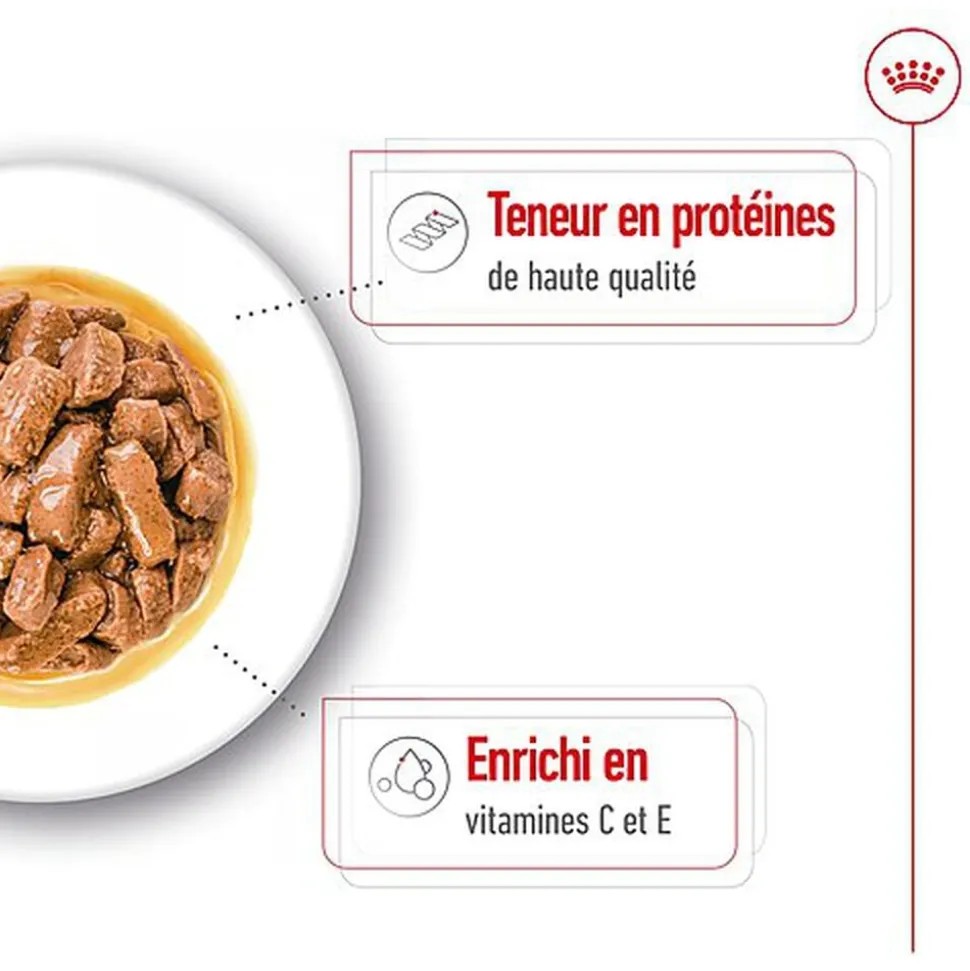 Royal Canin - Sachet Fraicheur Medium Adult En Sauce Pour Chiens - 10x140g