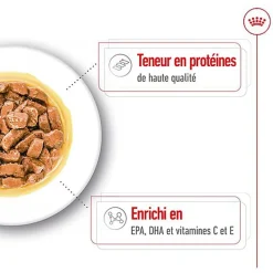 ROYAL CANIN - SACHET FRAICHEUR MEDIUM AGEING 10+ en sauce POUR CHIENS SENIORS - 10x140g