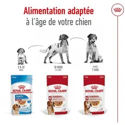 ROYAL CANIN - SACHET FRAICHEUR MEDIUM AGEING 10+ en sauce POUR CHIENS SENIORS - 10x140g