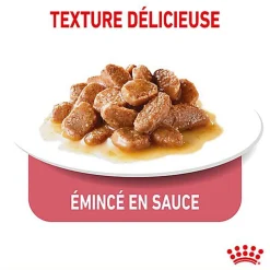 Royal Canin - Sachet Ultra Light en Sauce pour Chat - 12x85g