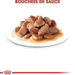 Royal Canin - Sachets Ageing 12+ en Sauce pour Chat - 12x85g