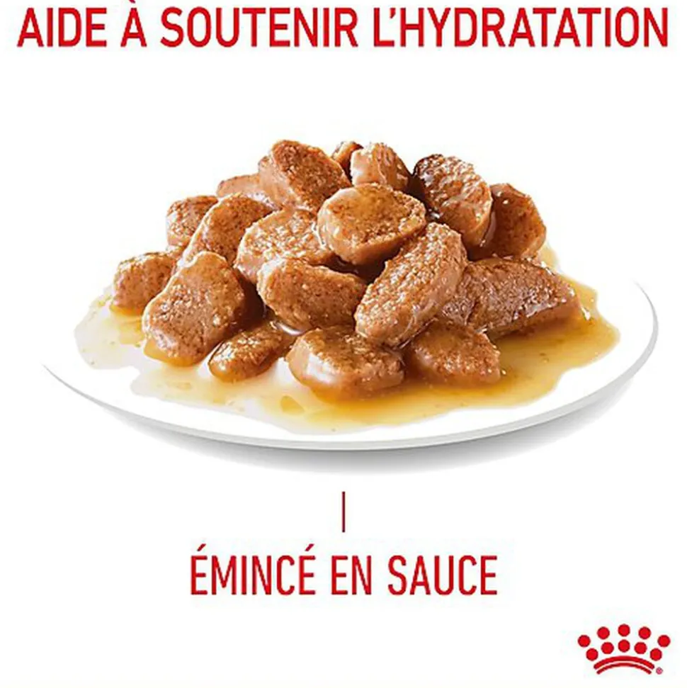 Royal Canin - Sachets Appetite Control Care en Sauce pour Chat - 12x85g