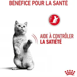 Royal Canin - Sachets Appetite Control Care en Gelée pour Chat - 12x85g