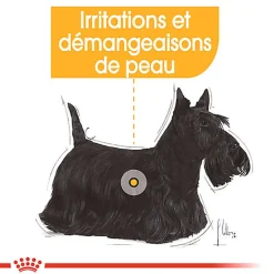 Royal Canin - Sachets Dermacomfort en Mousse pour Chien - 12X85g