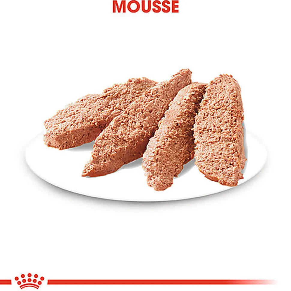 Royal Canin - Sachets Dermacomfort en Mousse pour Chien - 12X85g