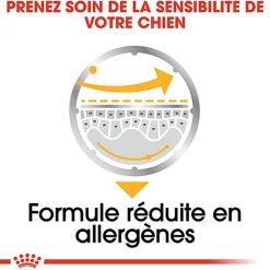 Royal Canin - Sachets Dermacomfort en Mousse pour Chien - 12X85g